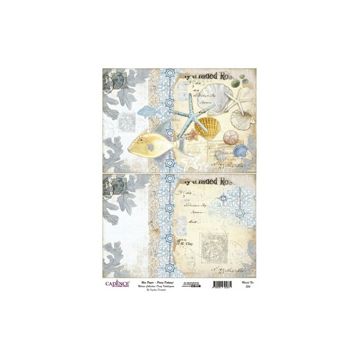 copy of Papel de arroz esfera reloj